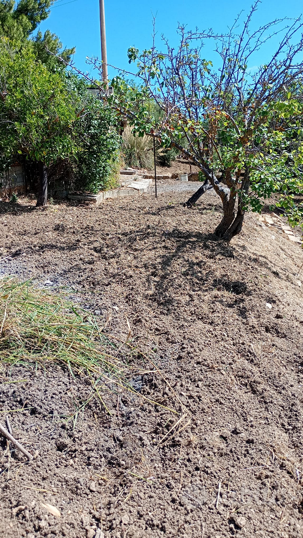 Terreno con antico casolare - Vista 4