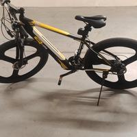 bicicletta elettrica I MUD BIKE