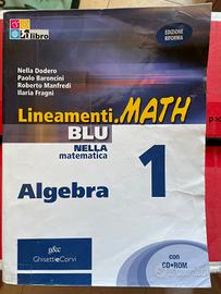 Lineamenti.math blu Algebra 1