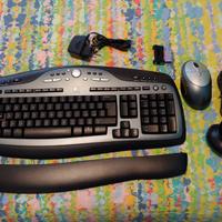 Tastiera e mouse cordless