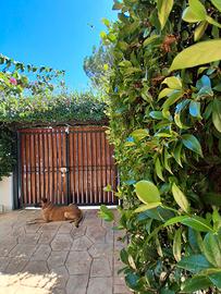 Casa RELAX 