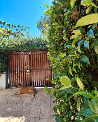 Casa RELAX 