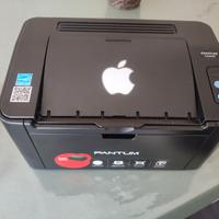 Stampante Pantum P2500