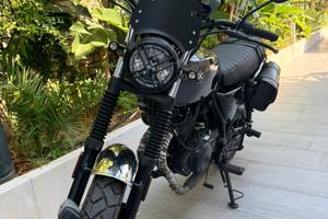 Brixton cromwell 250