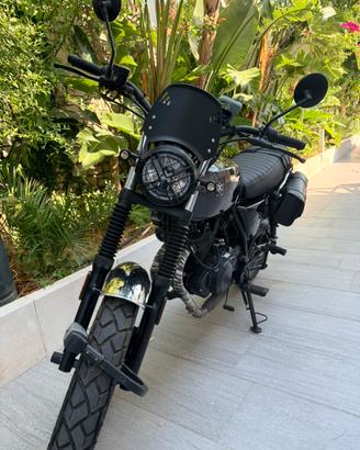 Brixton cromwell 250