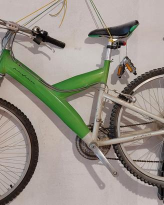 Mountain Bike Pinifarina