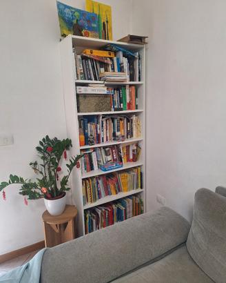 Ikea BILLY Libreria