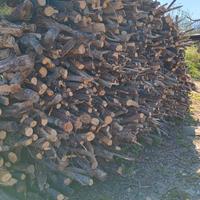 Legna da ardere tagliata pronta per l'utilizzo