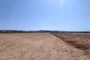 Terreno di 41648 m² a San Giovanni in Marignano