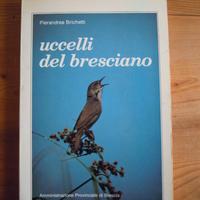 Uccelli nel bresciano (accessori per animali)