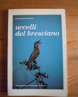 Uccelli nel bresciano (accessori per animali)