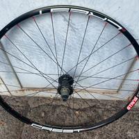 Ruota Mtb posteriore