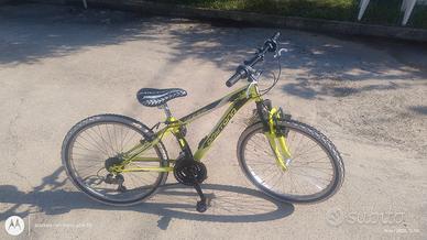 Bici 24 Daytona Shark 24