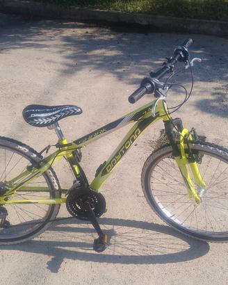 Bici 24 Daytona Shark 24
