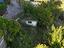 Immagine 18