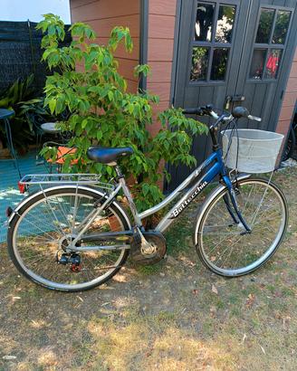 Bicicletta Bottecchia  verde natura 