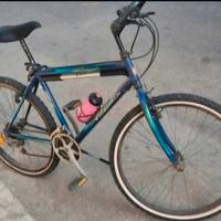 Bicicletta Mountain Bike 