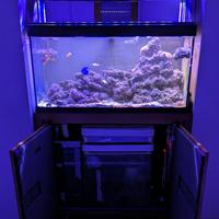 Vasca per acquario 200 litri con accessori