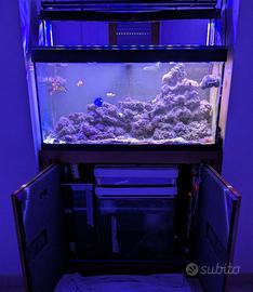 Vasca per acquario 200 litri con accessori