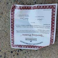 Bambola sposa collezione porcellana