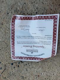 Bambola sposa collezione porcellana