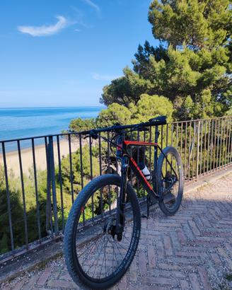 MTB 29 cannodale XL 