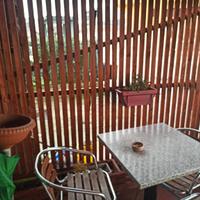 tavovili bar/pub