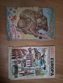 2 album per figurine