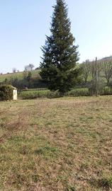 Vendita casale a Monteleone di Fermo