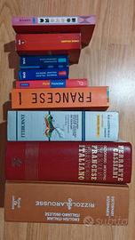 Dizionari vari (cinese, francese, inglese)