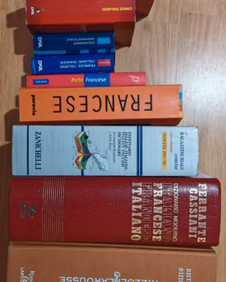 Dizionari vari (cinese, francese, inglese)