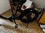 Immagine 3