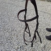 Testiera cavallo Rambo