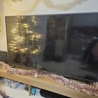 LG TV Led 50 Pollici Come Nuova