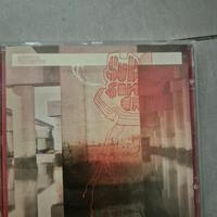 Cd Subsonica Terrestre