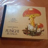 Guida pratica ai funghi in Italia 