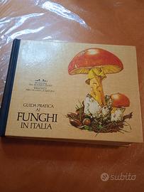 Guida pratica ai funghi in Italia 