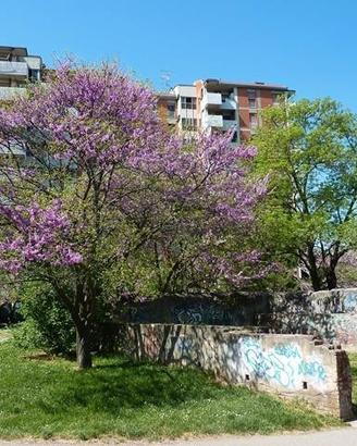 Appartamento ultimo piano, Murri Via Romagnoli