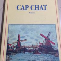 Cap chat romanzo ecologico Canada Virginio Bettini