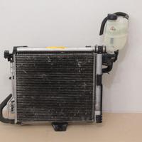 Radiatore Acqua Smart Fortwo 451 A4515000054