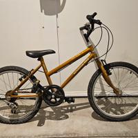 bici 20 pollici