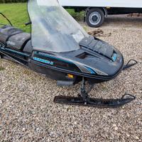 motoslitta Skandic 503 