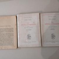 La Divina Commedia commentata in italiano