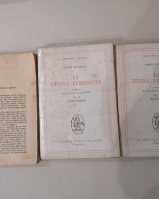 La Divina Commedia commentata in italiano