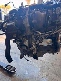 motore fiat 1.6 cc sigla 55260384