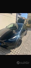 TESLA MODEL Y PERFORMANCE