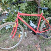 Bicicletta Mountain Bike (2)