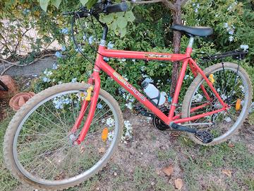 Bicicletta Mountain Bike (2)