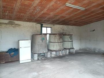 botti vino 