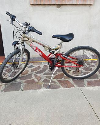 Mountain bike color grigio e rosso metalizzato